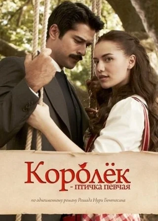 Королек - птичка певчая