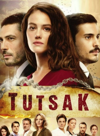 Пленница (2017)