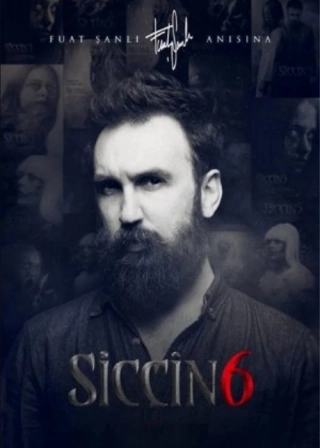 Сиджин 6