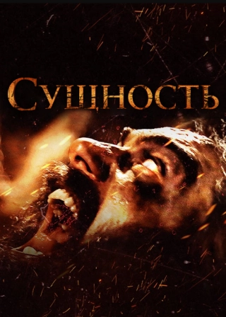 Сущность