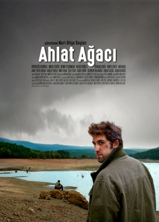 Дикая груша (2018)
