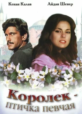 Короле - птичка певчая
